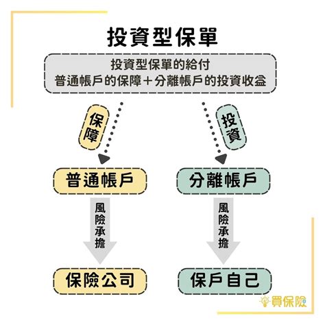 投資型保單甲乙丙丁戊|投資型保單是什麼？一次搞懂現行熱銷保單種類